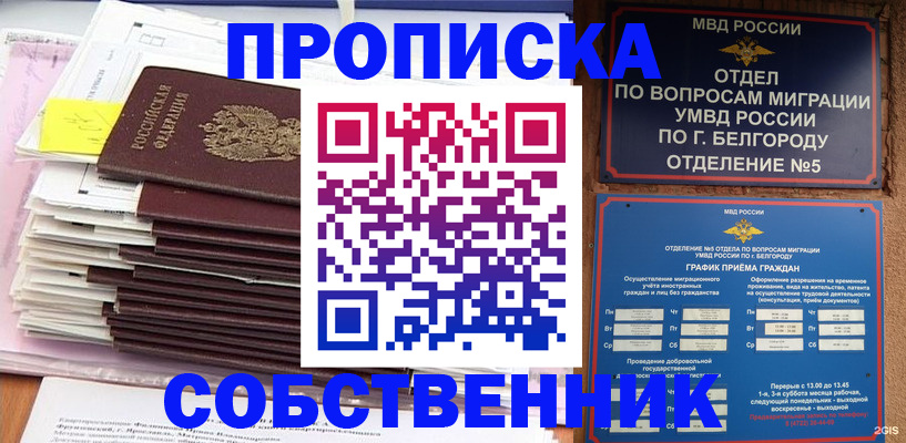 прописка законно в Шлиссельбурге